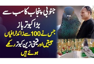 Layyah Ka Kabootar Baaz Jis Ne 100 Se Ziada Trophies Win Ki Or Expensive Pigeons Bhi Rakhe Hue Ha