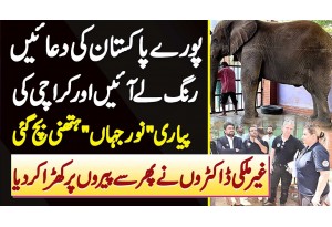 Karachi Zoo Me Elephant "Noor Jehan" Ki Jan Foreign Doctor Ne Bacha Li, Apne Pairon Pe