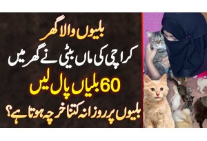 Billiyon Wala Ghar - Karachi Ki Maa Beti Ne Ghar Me 60 Cats Paal Li - Daily Kitna Kharcha Hota Ha?