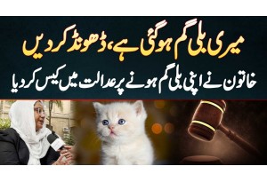 Missing Cat Case In Karachi - Meri Billi Gum Ho Gayi - Khatoon Ne Court Mein Case Kar Diya