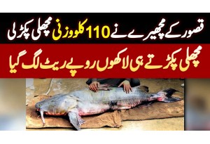 Kasur Ke Fisherman Ne Satluj River Se 110 KG Heavy Fish Pakar Li - Laakhon Rupees Rate Lag Gaya