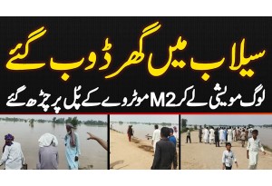 Flood In Pindi Bhattian - Houses Submerged, People Climbed M2 Motorway Bridge With Their Livestock
