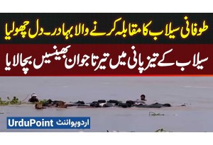 Sutlej River Flood - Pakpattan Ka Shehri Sutlej Flood Water Me Terte Hovy Bhainson Ko Bacha Laya