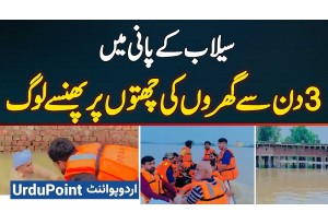 Flood In Daska - Stranded On Rooftops From 3 Day: Daska Flood Victims Await Rescue In Despair