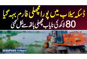 Flood In Daska - Fish Farm Washed Away By Flood: Rs 8 Million Fish Stock Vanishes Overnight