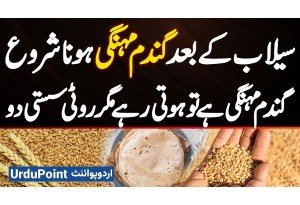 Wheat Prices Surge After Floods - Gandum Mehangi Ha To Hoti Rahe Roti Sasti Do, Tandoor Wale Preshan