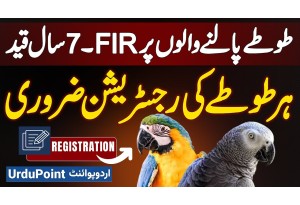 Parrot Owners Beware: Registration Or Legal Action Under Wildlife Rules - 7 Years Imprisonment