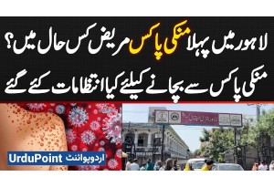 Monkeypox Alert In Lahore: 1st Monkeypox Patient Condition Revealed & Prevention Measures Explained