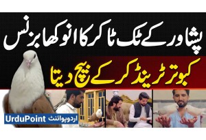 TikToker Naseem Aslam Trains Pigeons & Sells Them - How Much Did Zafar Supari Pay For Tiger Pigeon?