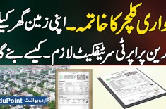 End Of Patwari Culture: Green Property Certificate Now Mandatory For Land &amp; Homes, How To Obtain It?