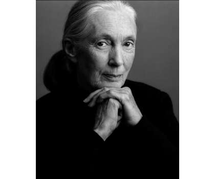 Jane Goodall 1934 To
