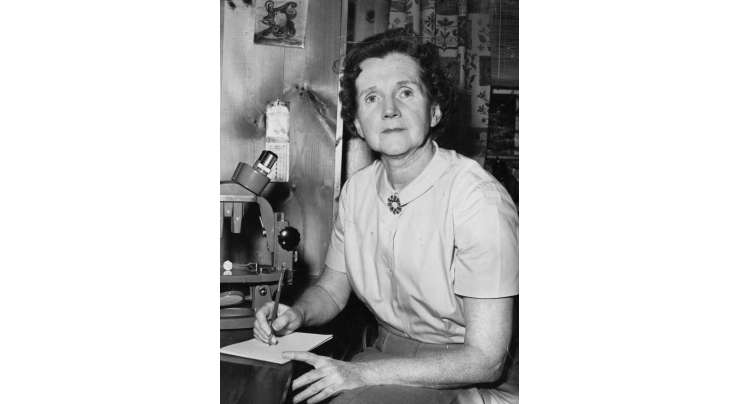 Rachel Carson 1907 To 1964