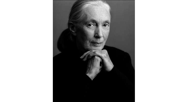 Jane Goodall 1934 To
